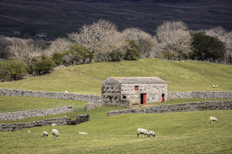 Dave Coates - 01-Dave-Coates-Fleeting-Light-Wensledale